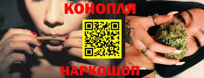 прущие грибы Кингисепп