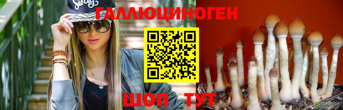 закладка  Вход с VPN  Кубинка  Галлюциногенные грибы Psilocybe 
